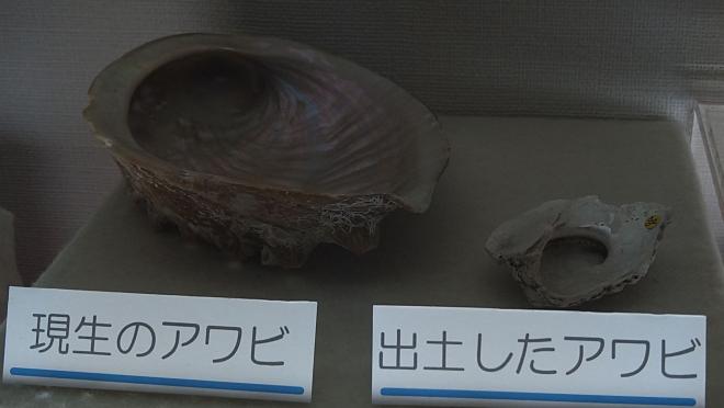 あわび今昔