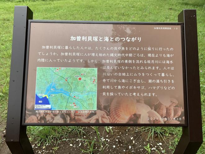 加曽利貝塚と海とのつながり