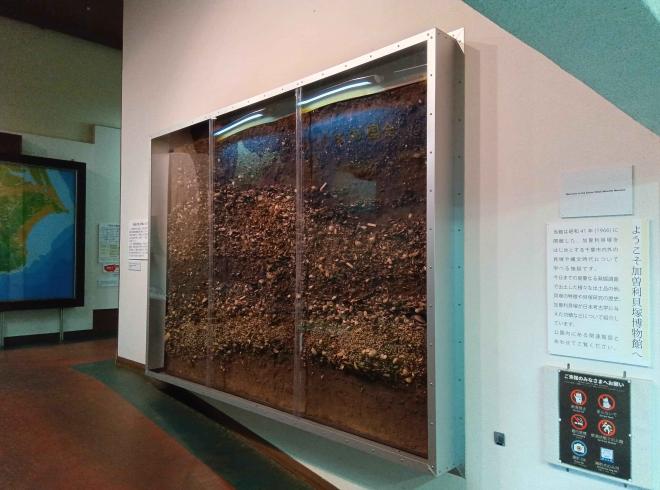常設展示1.剥ぎ取り