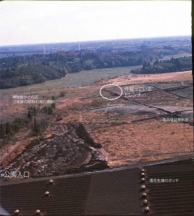 39年調査空撮