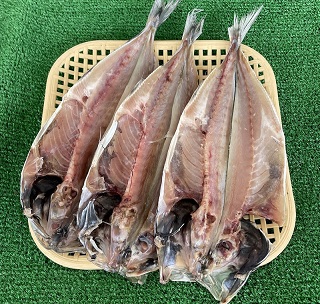 あじの干物