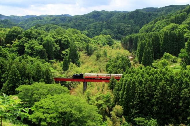 市原市