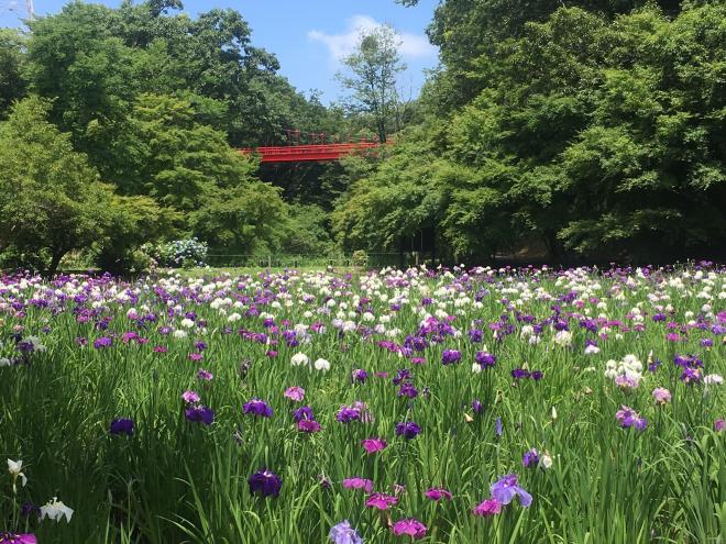 泉自然公園