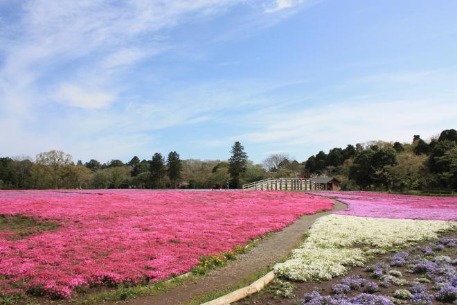 富田さとにわ耕園
