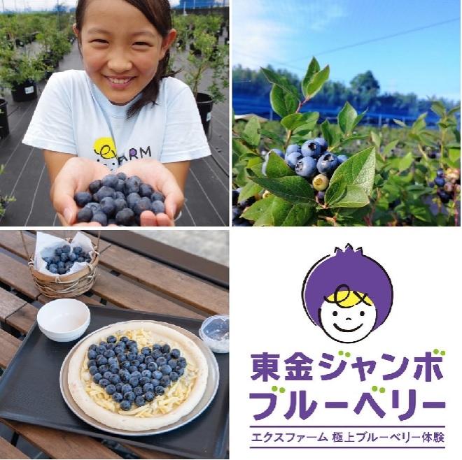 エクス・ファーム合同会社