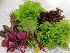 株式会社市原みつばち牧場２