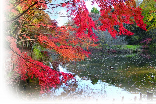泉自然公園