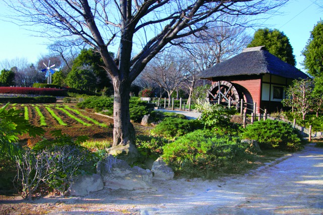 ふるさと農園