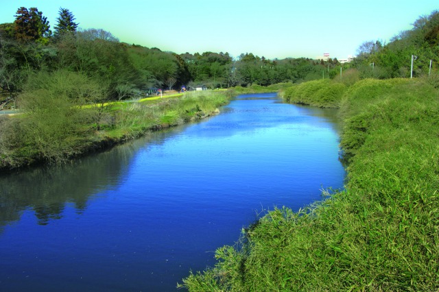 花見川