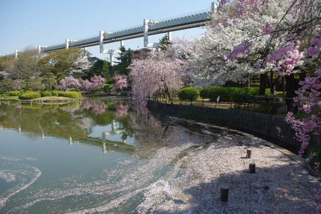 千葉公園