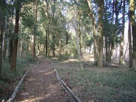 里山親ページ写真