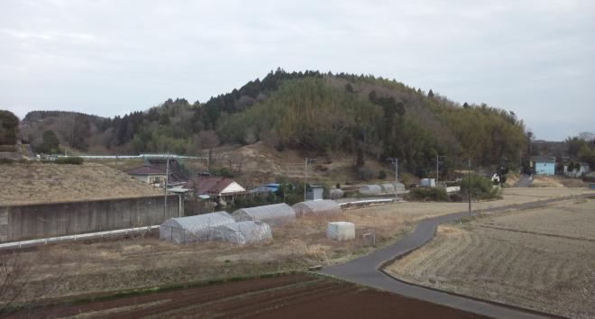おおじの森全景