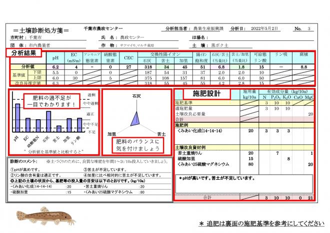 診断結果見本