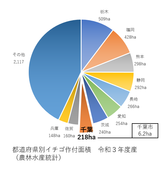 都道府県別イチゴ作付面積_令和3年度産