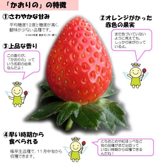 かおりのの特徴