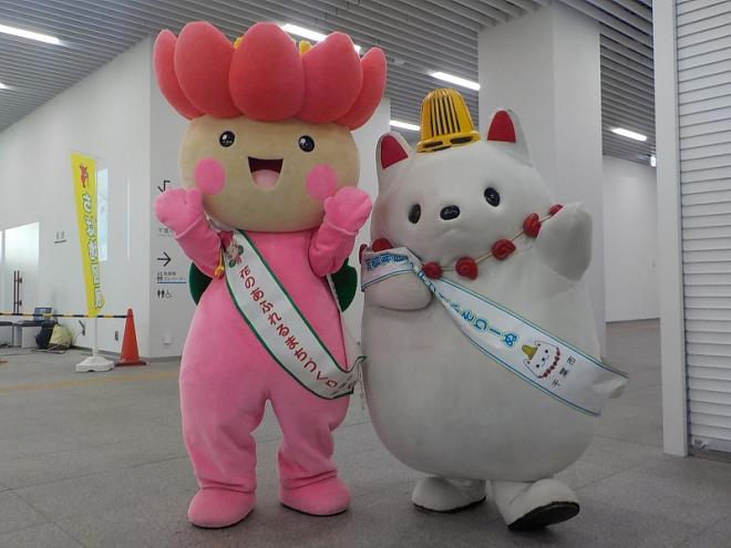 お出迎え