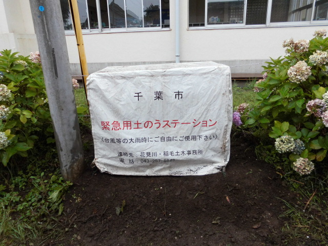 稲毛小学校2