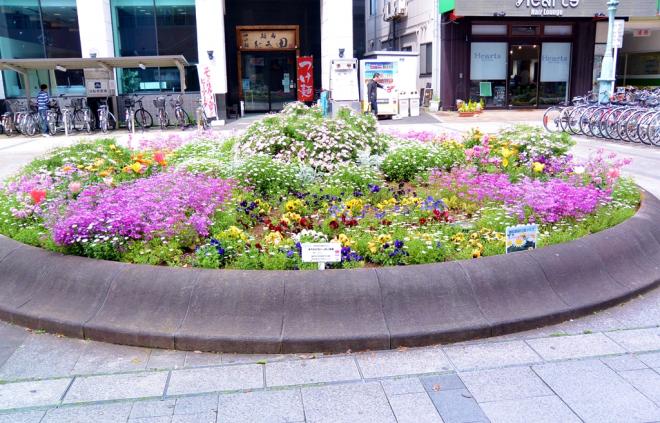 鎌取駅前花壇クラブ08