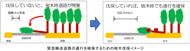 樹木伐採画像