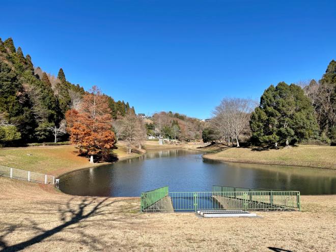 あすみが丘水辺の郷公園1