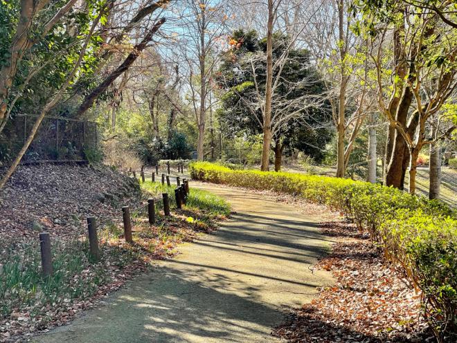 あすみが丘水辺の郷公園3