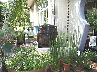 都市緑化植物園