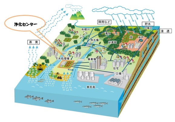 水循環図