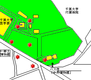 七天王塚の配置図
