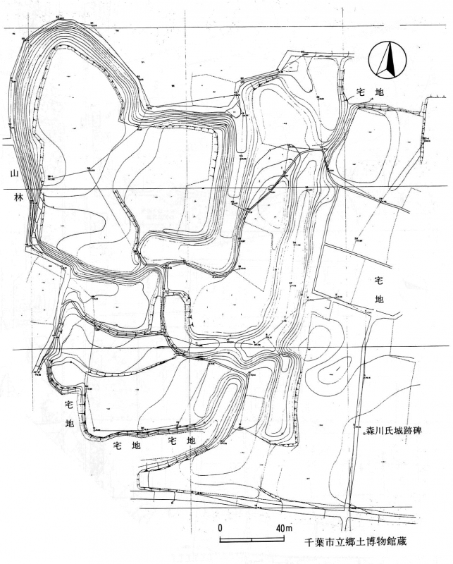 図1