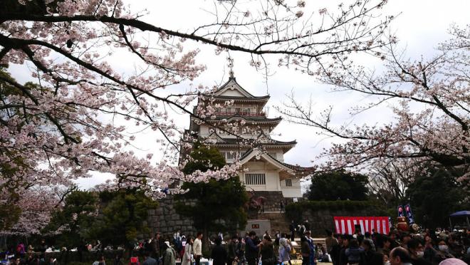 さくら祭りの様子1