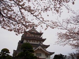 お城正面