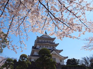 お城と桜