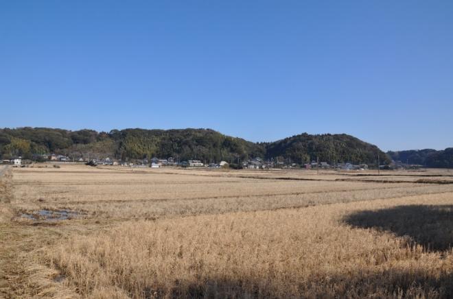 写真1