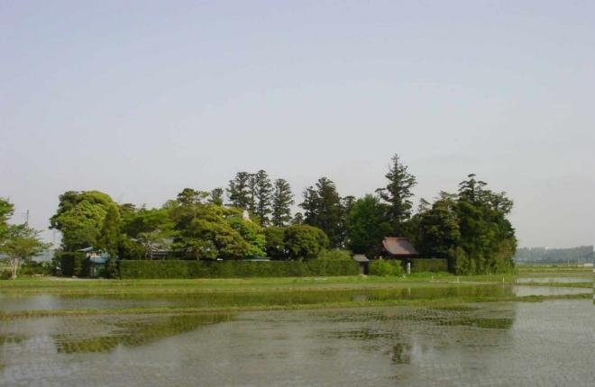 写真１