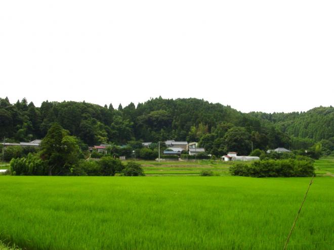 城跡
