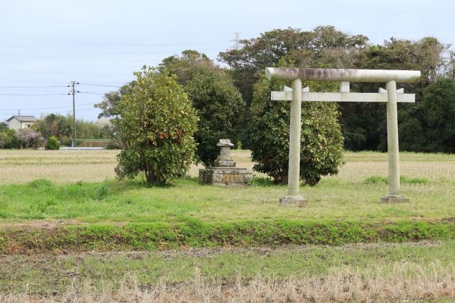 写真2