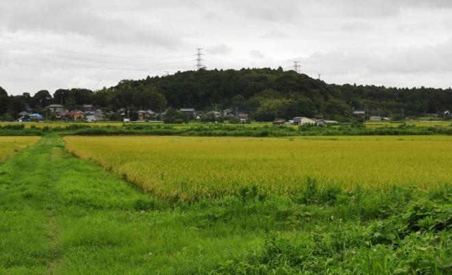 写真1