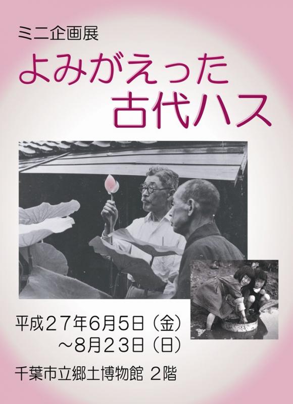 よみがえった古代ハス