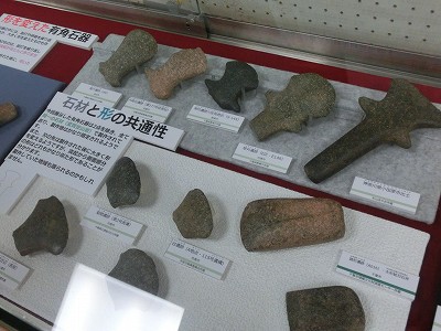 2017_埋蔵文化財ロビー巡回展1