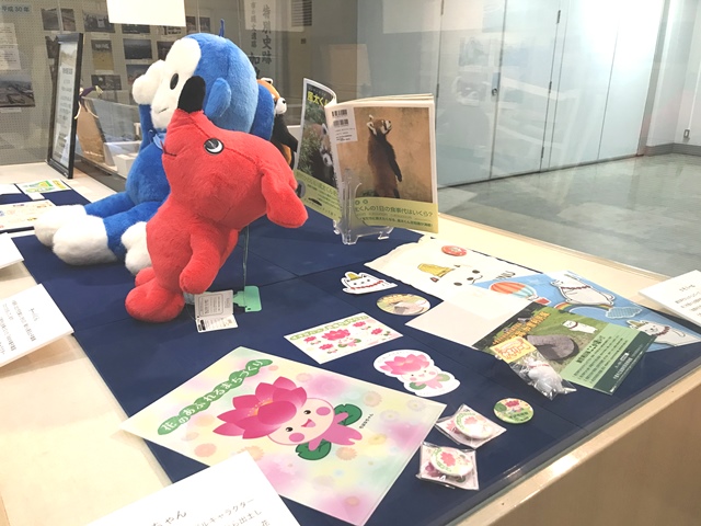 平成31年度企画展示「写真でふりかえる平成の千葉市」展示風景3