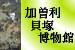 加曽利貝塚博物館