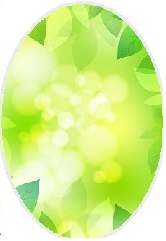 sinryoku