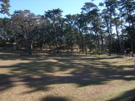 稲毛の松林