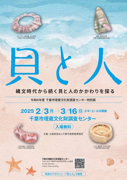 貝と人（表）