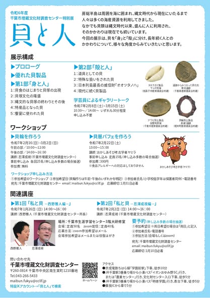 貝と人（裏）