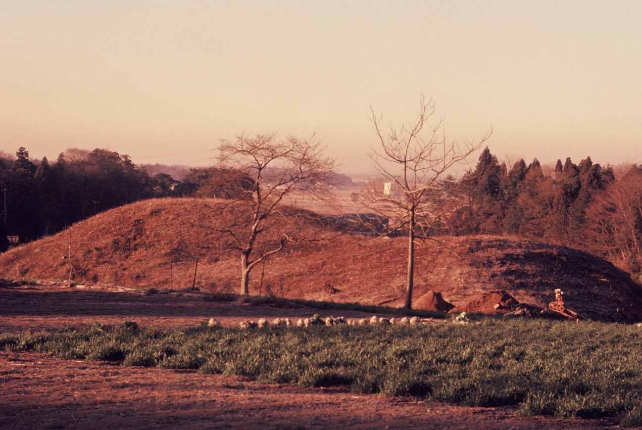 大覚寺山古墳　全景1