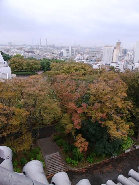 けやき