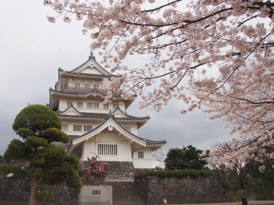 桜吹雪