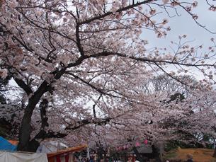 亥鼻公園