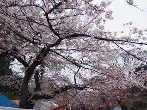亥鼻公園